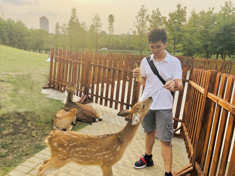 米兰的小铁匠的第一张照片--闽侯认干亲服务网